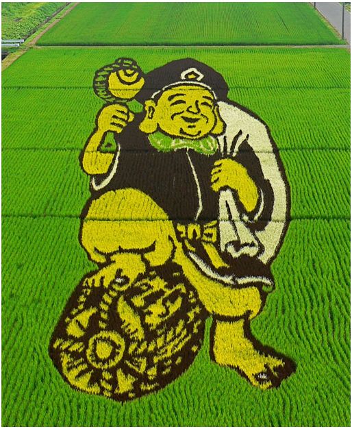 Tanbo Art, Seni Melukis di Atas Sawah Jepang