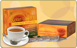 Obat Herbal Untuk Demam