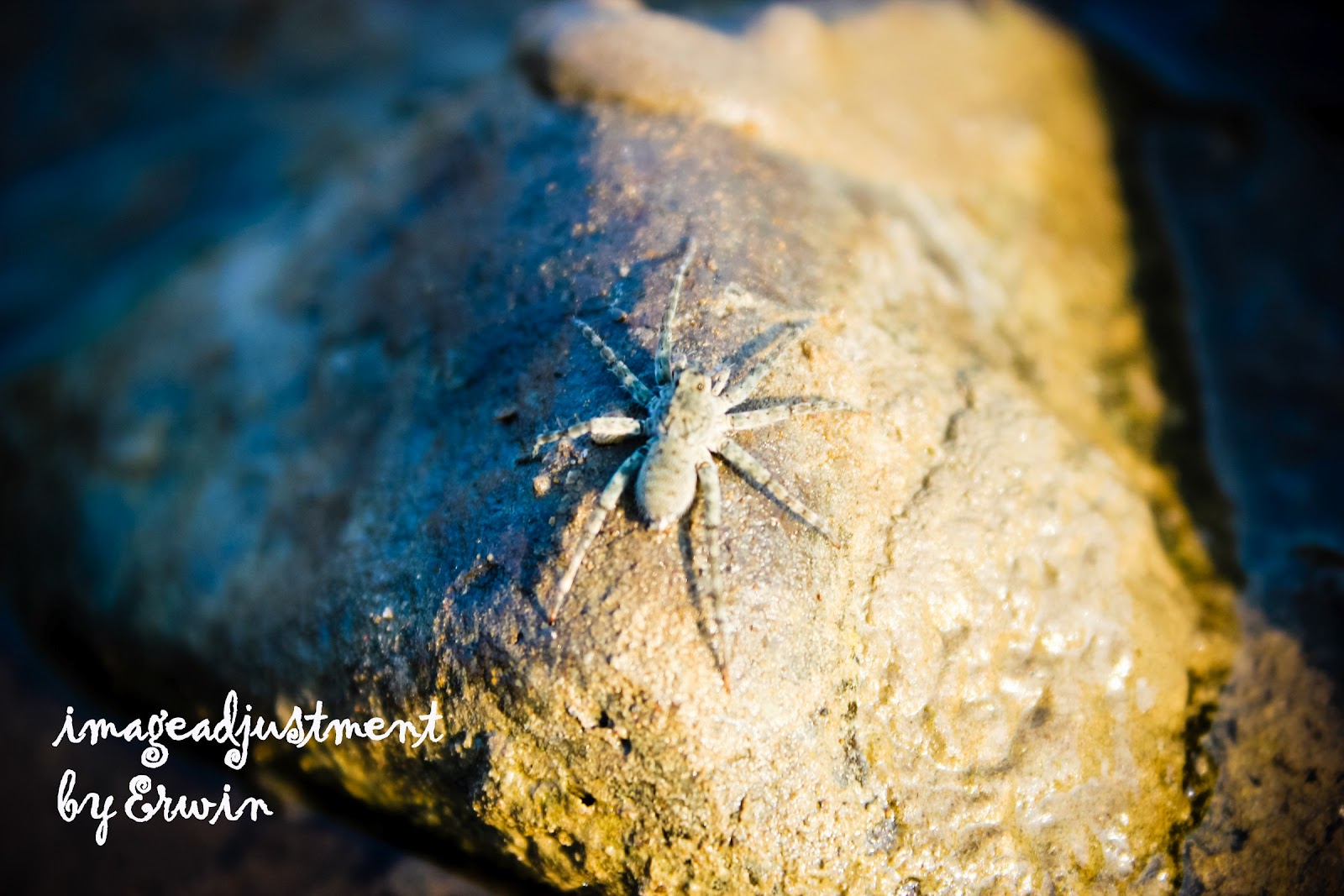 newbie minta komentarnya gan