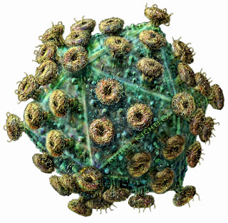 sejarah-penemuan-virus