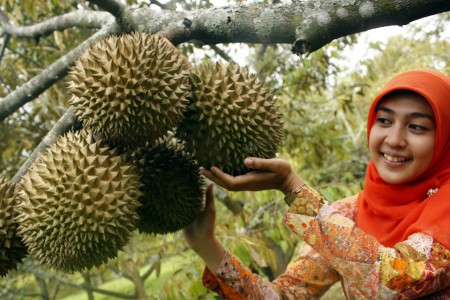 6 Cara Cerdas Hemat Uang Saat Belanja Makanan