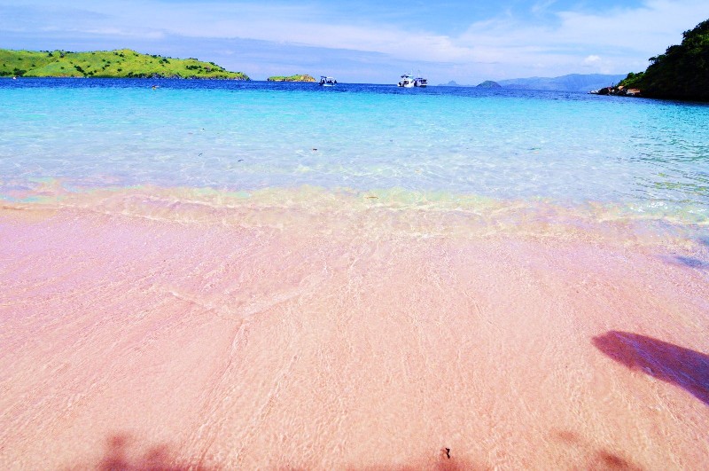Indah Banget gan Pantai Pink di Pulau Komodo