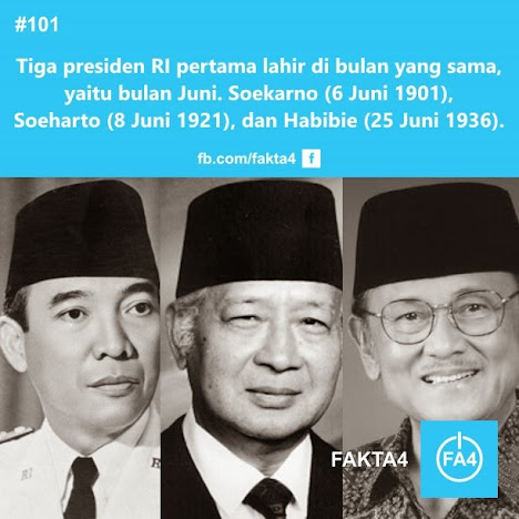 Some About Fact!