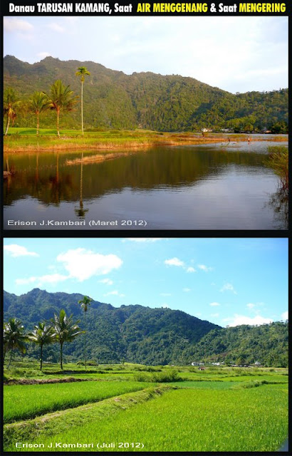 Tarusan Kamang, Fenomena Menakjubkan di Ranah Agam ( Sumatera Barat)