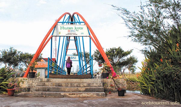 Tempat Nongkrong Gratis Tapi Indah 