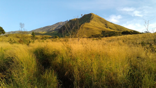 &#91;CATPER&#93; Pendakian Gunung Arjuno via Lawang Turun via Tretes (6 - 12 Agustus 2016)