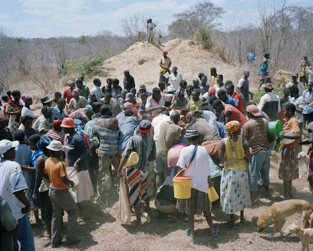 Foto Masyarakat Zimbabwe Jika Menemukan Gajah Mati!!