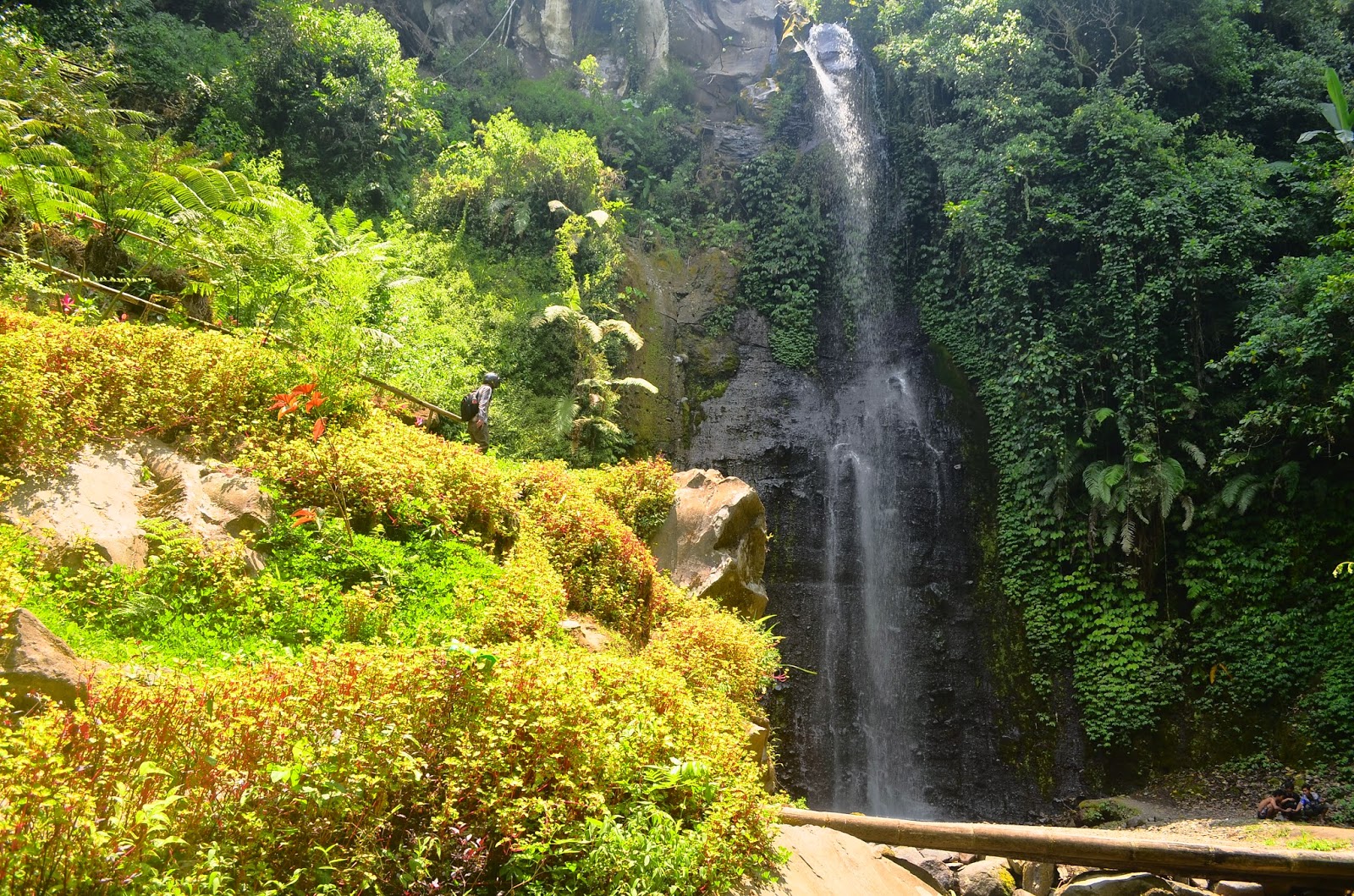 6 Air Terjun di Lumajang yang Dijamin Breathtaking