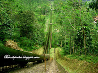 &#91;CoC Regional: Lokasi Wisata&#93; Jalan-Jalan ke Bukit Cinta Desa Kalipagu