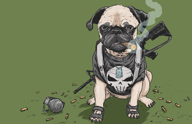 20 Anjing Superheroes Dan Villain Marvel DC Yang Lucu Dan Imutnya 