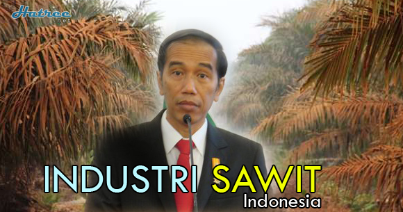 DAHSYAT! Di tangan Jokowi, Industri Sawit Indonesia masuk 5 Besar Dunia