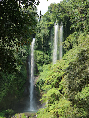 Eargasm, Menikmati Air Terjun di Bali Utara!