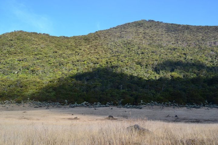 Gunung Gede dikotori para pendaki