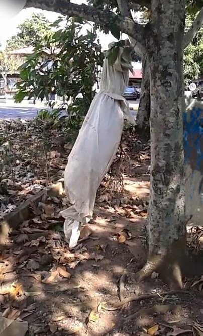Bagaimana Dekorasi Untuk Menyambut Hallowen Di Rumah?