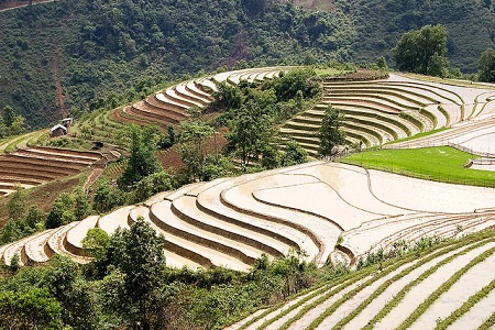 10 Teras Pertanian Paling Menakjubkan di Dunia