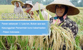 LUAR BIASA!!! Panen '1,1 JUTA TON', Pantas Jokowi tak pernah Impor Beras