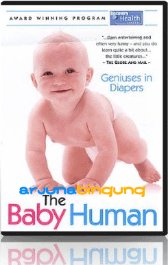 Paket DVD Stimulasi • Edukasi • Hiburan buat Bayi dan Orangtua! • Banyak Pilihan!