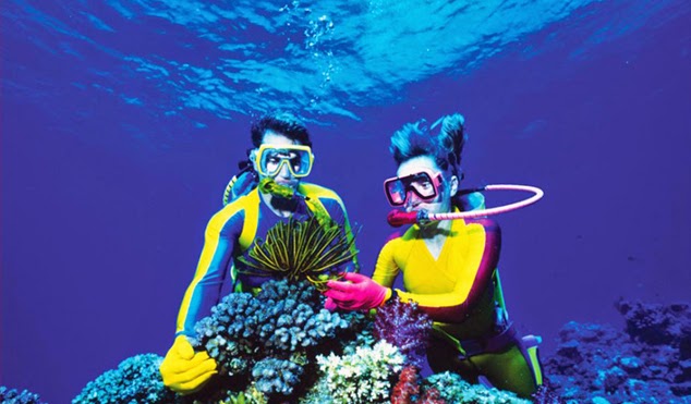 Destinasi Diving/Snorkling Yang Wajib Agan Coba!
