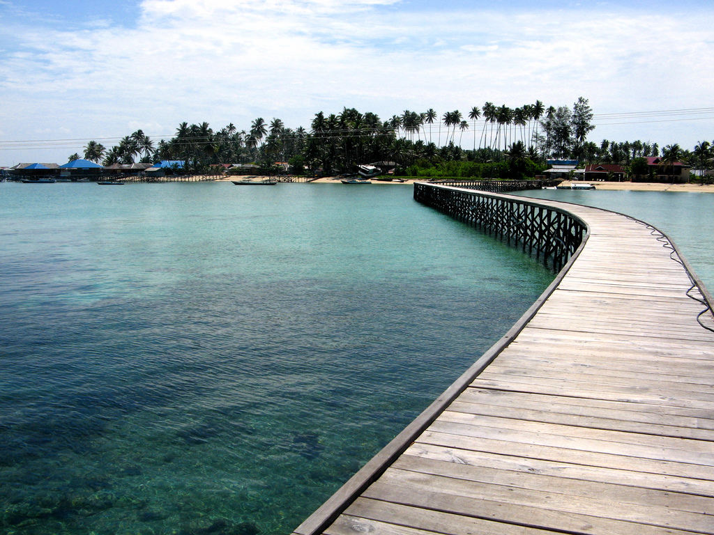 Menyelami Keanekaragaman Biota Laut di Pulau Derawan