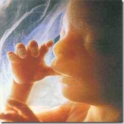 Pikir dulu gan sebelum malakukan MAKSIAT / ABORSI !! &#91;PIC&#93;