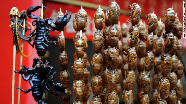 Kata PBB : Serangga adalah makanan Masa depan manusia ?.. (eyaak, Siapa brani coba ?)