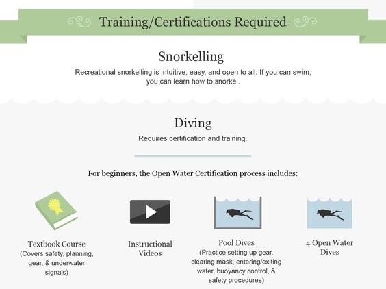 Suka Diving atau Snorkelling ? Yuk Kenali Perbedaannya