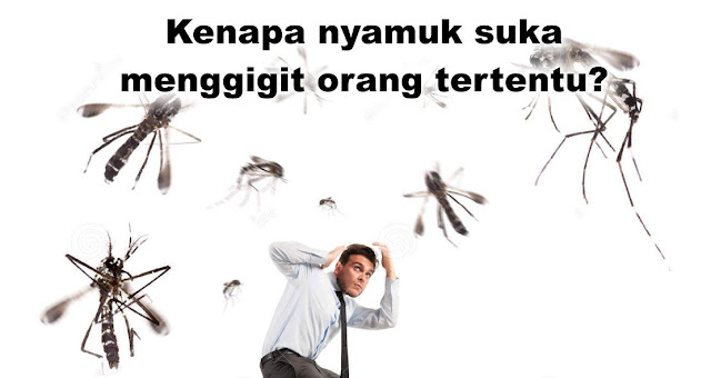 ciri-ciri-manusia-yang-disukai-nyamuk