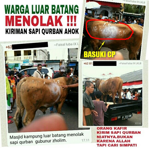 Sapi Kurban Ditolak Warga Luar Batang, MUI : Ahok Seperti Kompeni