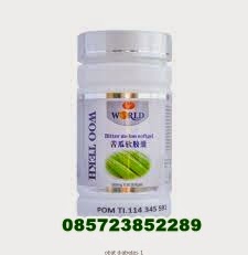 OBAT DIABETES (GULA) AMAN AMPUH