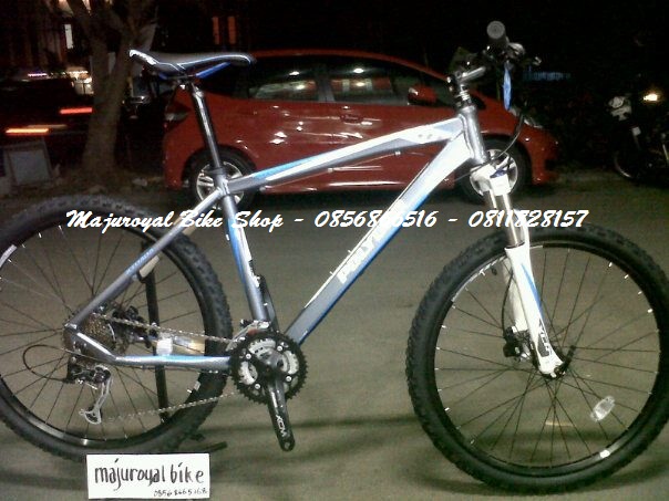 Polygon Xtrada Bike Park