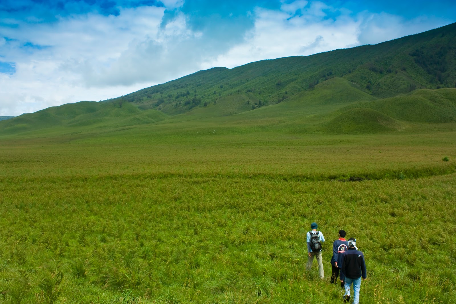 --=!!Bukit Teletubbies!!=--