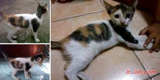 LAFADZ &quot;ALLAH&quot; DI BERBAGAI TEMPAT