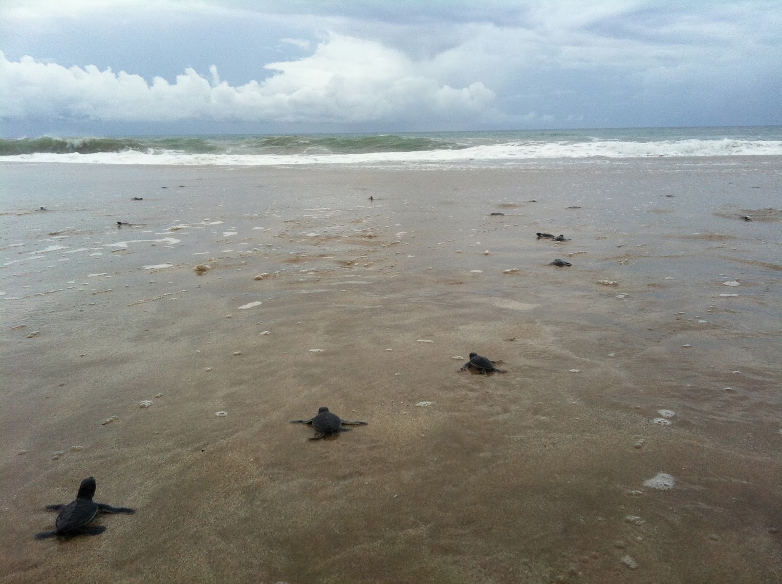 napak tilas UJUNG GENTENG sukabumi _ Cantik Gan