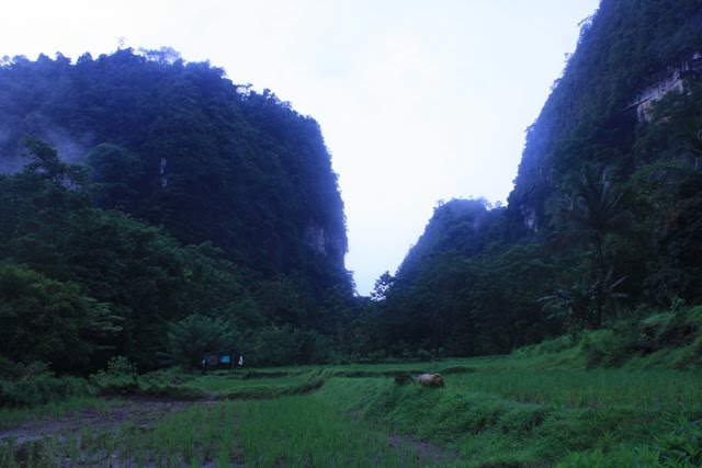 TN Bantimurung Bulusaraung &quot;Spectacular Tower Karst&quot;