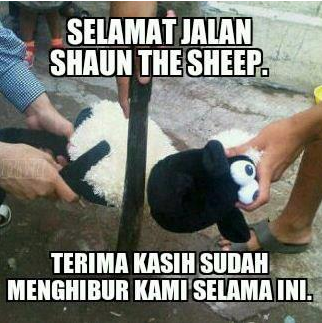 Perasaan Kambing Sebelum Eksekusi di Hari Raya Kurban [Meme Lucu]