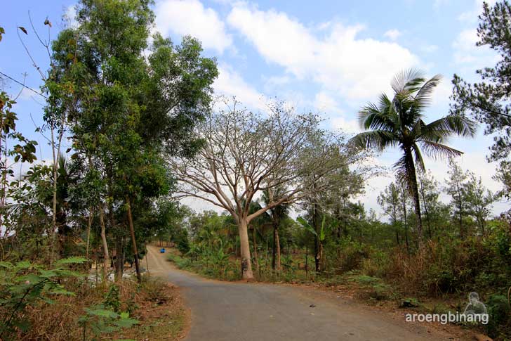 &#91;CoC Regional: Lokasi Wisata&#93; Bumi Perkemahan Kendalisada Kalibagor Banyumas