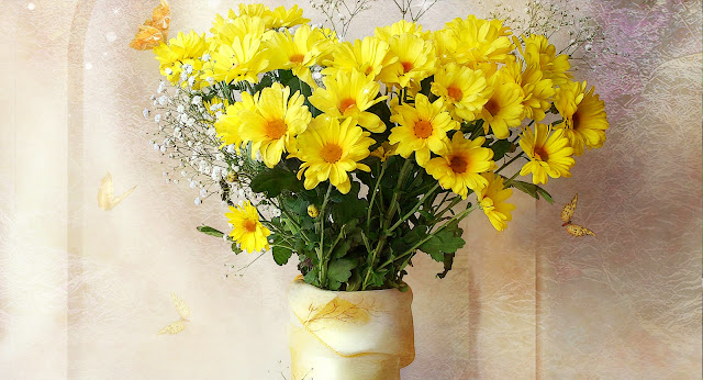 Manfaat Teh Chrysanthemum