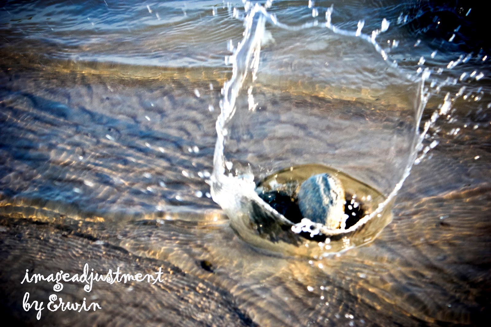 newbie-minta-komentarnya-gan