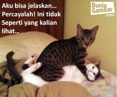 Foto-foto Binatang &#91;Lucu&#93;