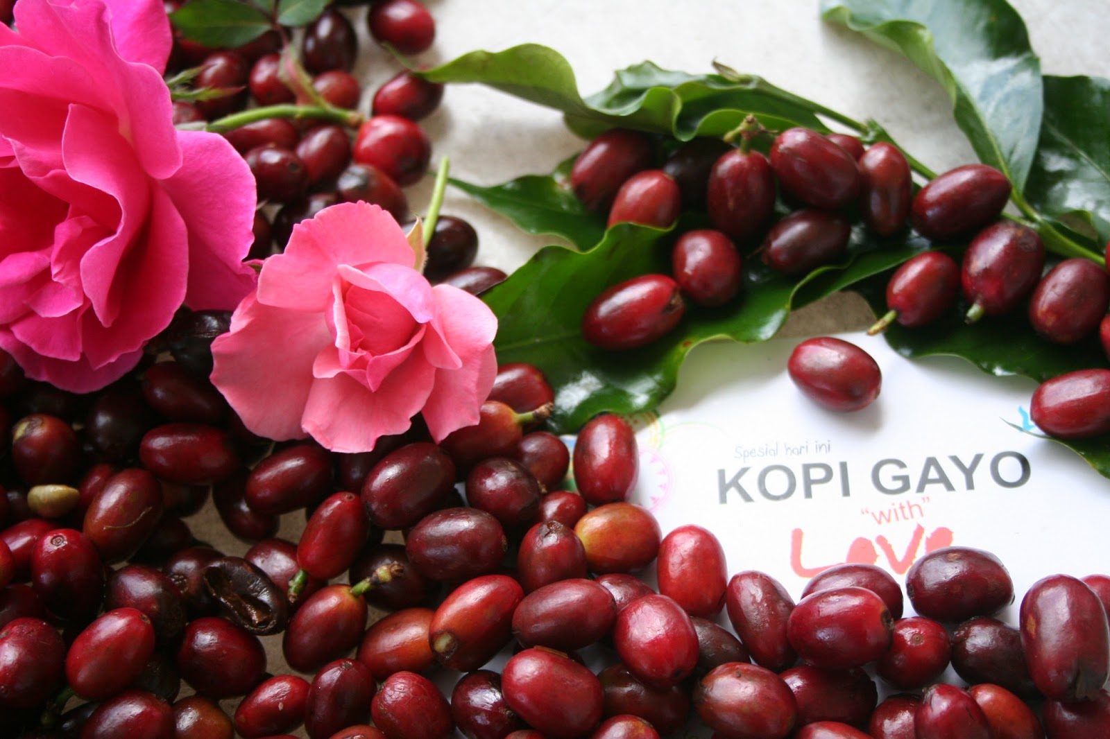 Profesor Jepang Mengembangkan Kopi Hidrogen Dari Indonesia