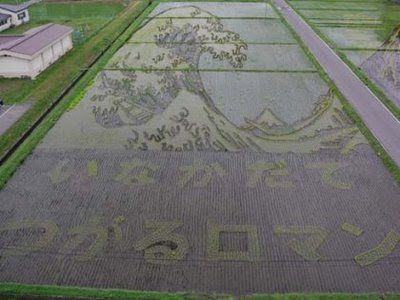 MELUKIS SAWAH SENI UNIK DARI JEPANG