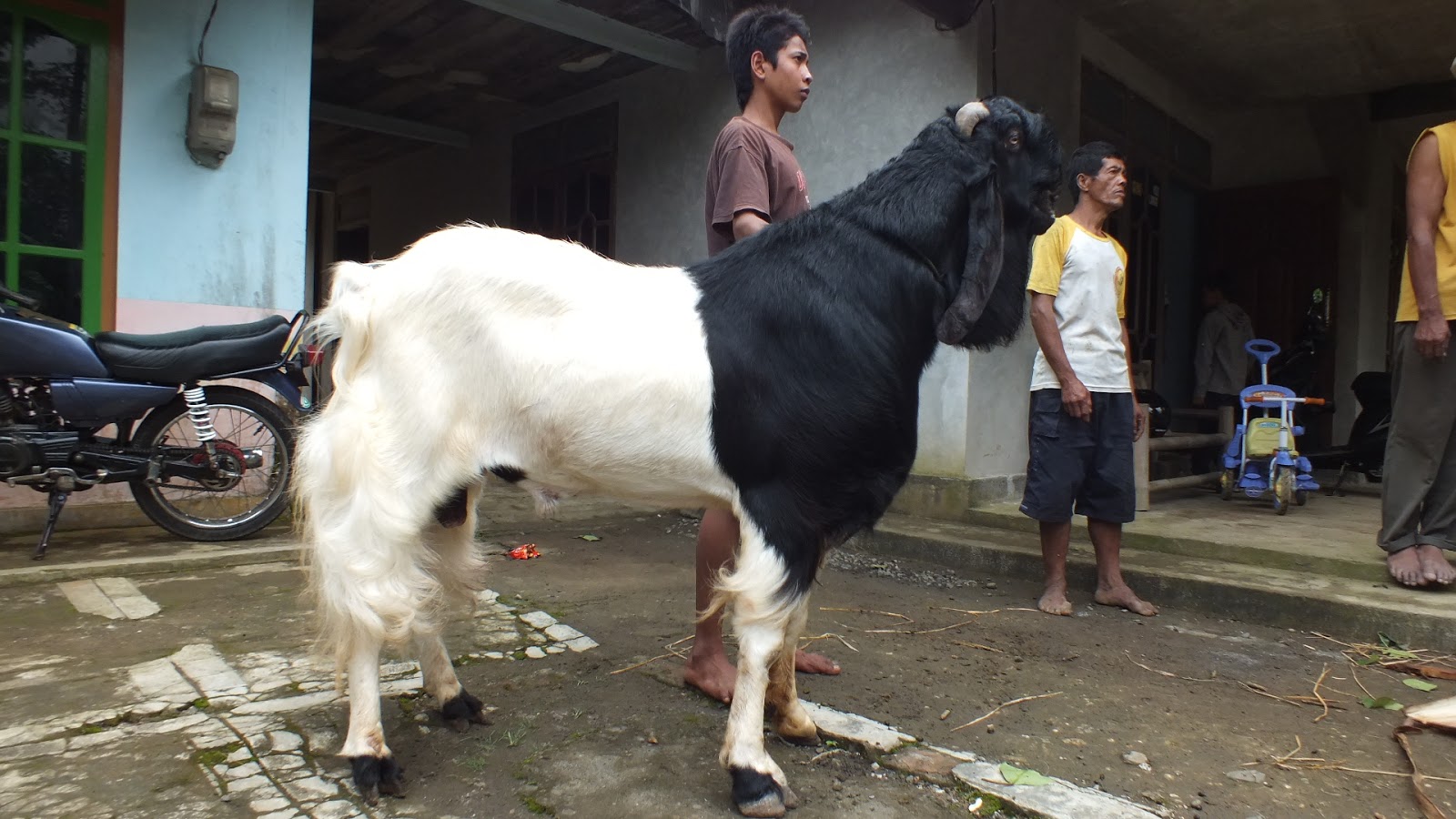 Liburan Akhir Tahun Jangan Lupa Mampir ke Purworejo Gan