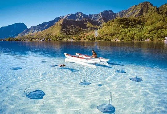 Wow! Sail Sabang 2017 Membawa Berkah bagi Warga Aceh