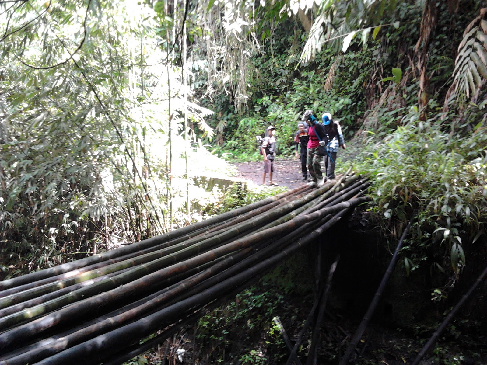 perjalanan menuju puncak Gn. Marapi (Sumatera Barat)