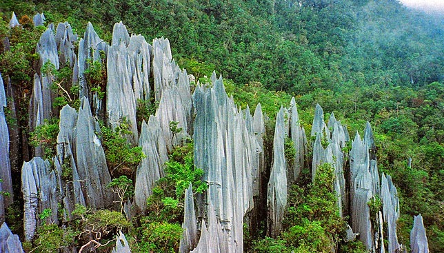&#91;WOOW GANS!&#93; 10 Pulau Dengan Kenaekaragaman Hayati Menakjubkan