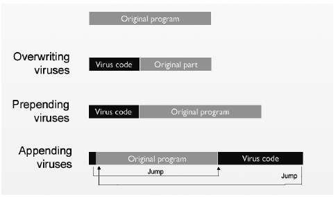 Elemen Dasar dan Cara Kerja Virus Komputer 