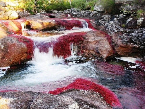 Sungai Paling Warna-Warni