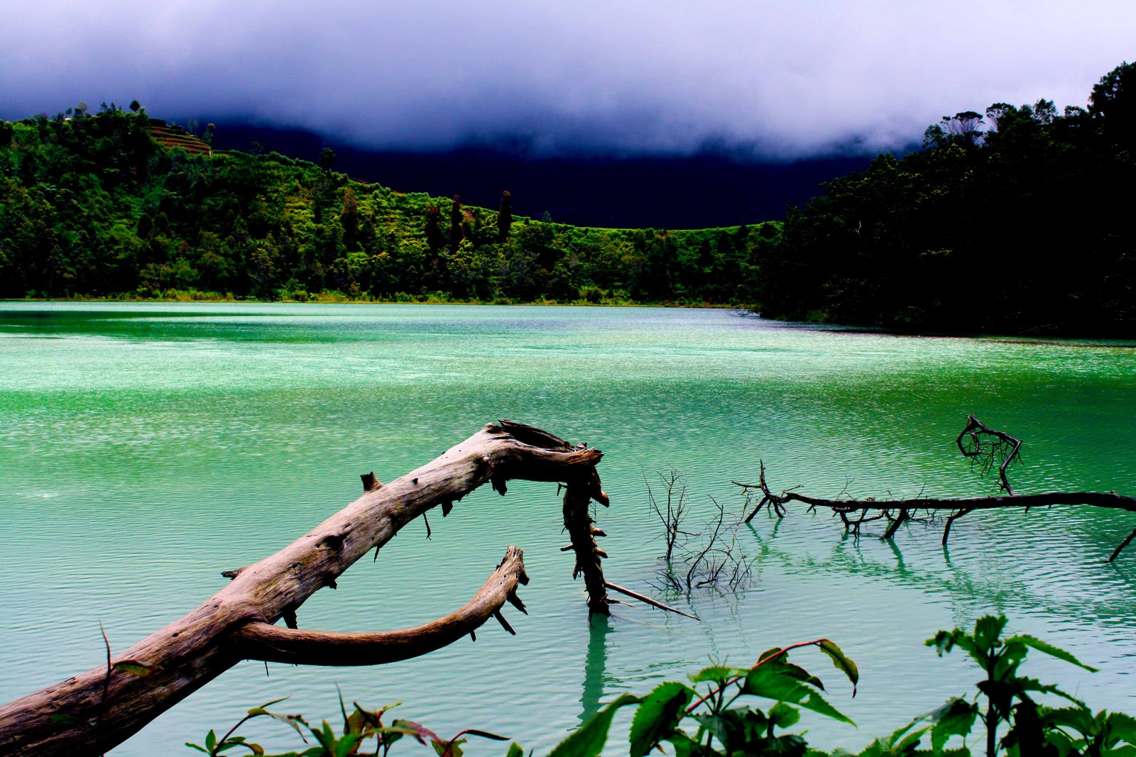 &#91;WISATA&#93; Keeksotisan Telaga Warna, Dieng