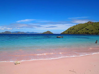 Indah Banget gan Pantai Pink di Pulau Komodo