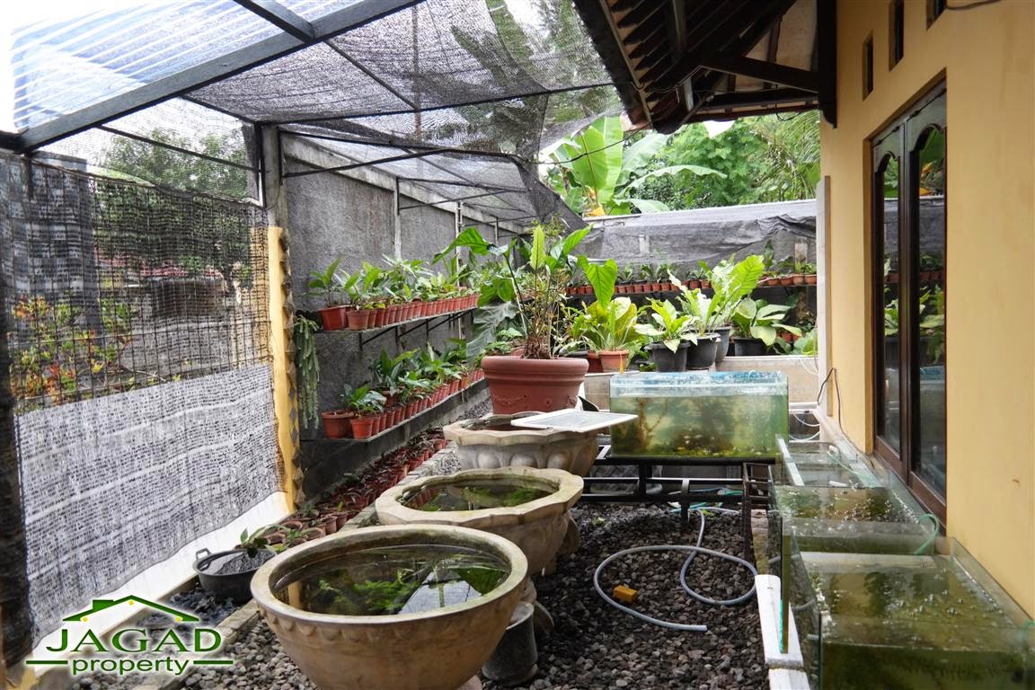 Dijual rumah murah jl .kaliurang km.11